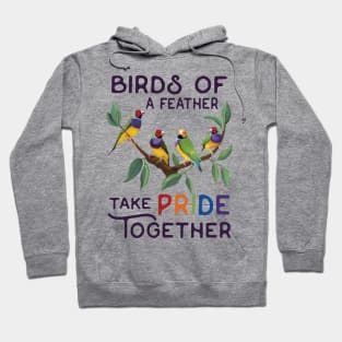 BIRDS OF A FEATHER - TAKE PRIDE TOGETHER Hoodie